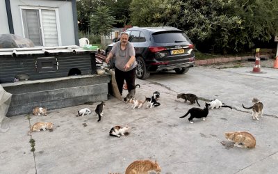 Her Gün Onlarca Sokak Kedisini Kendi Elleriyle Besliyor