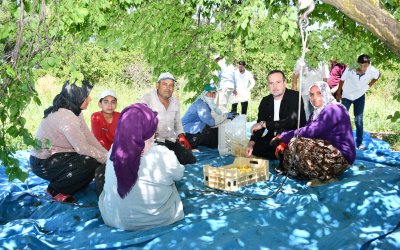 Karademir: "Malatya'nın Yeniden Güçlü Bir Kayısı Birliği'ne İhtiyacı Var"