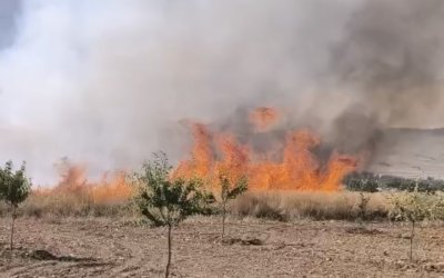 Darende’de Buğday Tarlasında Yangın: 30 Dönüm Alan Zarar Gördü