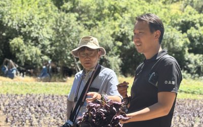 Japon Heyet Arapgir’de Mor Reyhan Üretimini İnceledi