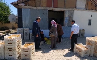 Başkan Duman: "Kayısıda Üreticinin Emeğini Korurken Dünya Pazarını da Kaybetmemeliyiz"
