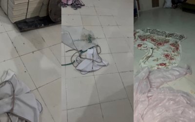 Vatandaş Görüntüledi: Fırında Böcek Var İddiası