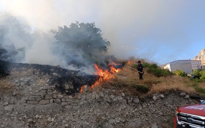 Darende’de Ot Yangını: Kayısı Bahçesi Zarar Gördü