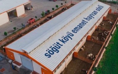 Gurbetçilere Özel “Emanet Hayvan Oteli” Projesi Hayata Geçiyor