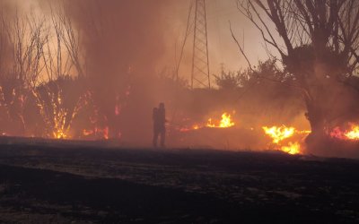 Tohma Mahallesi’nde Anız Yangını Korkuttu
