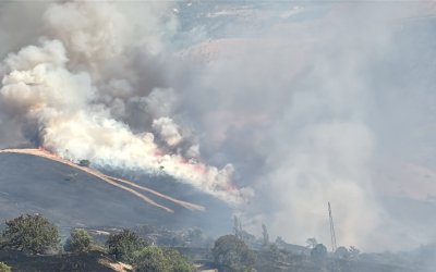 Pütürge’deki Yangına Çok Sayıda Ekip Sevk Edildi