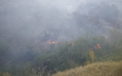 Pütürge’deki Yangına 20 Araç ve 55 Personelle Müdahale