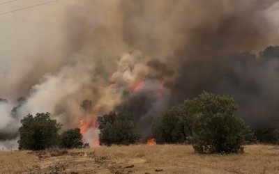 Pütürge’de Orman Yangını Kontrol Altına Alındı