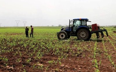 Tarım-ÜFE Temmuzda Yüzde 18,81 Arttı