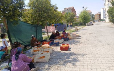 Başkan Duman: Kayısının Her Aşamasında Emeğin ve Emekçinin Yanındayız
