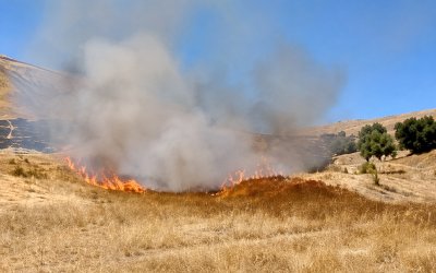 Akçadağ’da Trafo Kıvılcımları Yangına Neden Oldu
