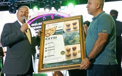 Darende’nin Tescilli Zengibar Cevizi Dünya Standartlarına Meydan Okuyor