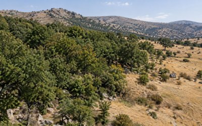Kuluncak’ta Orman Sınırları Değişti