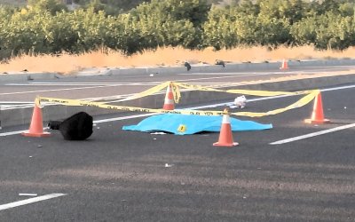 Otobüsten İndi, Yolun Karşısına Geçerken Hayatını Kaybetti