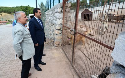 Başkan Taşkın, Hayvan Barınağında İncelemelerde Bulundu