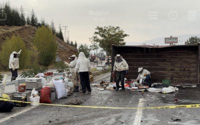 Malatya’da Arı Yüklü Kamyon Devrildi: 3 Yaralı
