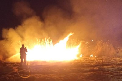 Malatya'da sazlık alanda yangın