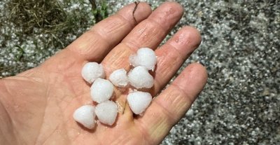 Keskin’den Milletvekillerine Çağrı, “Kayısı Üreticisine Sahip Çıkın”