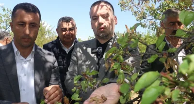 MAGİNDER Başkanı Karademir "Kayısısız Bir Yıl, Malatya İçin Felaket Olur"