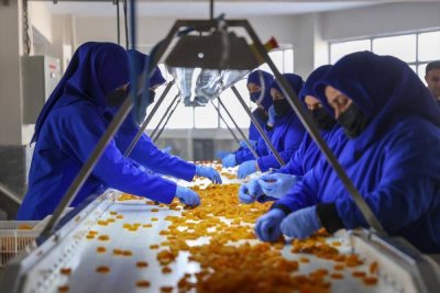 Malatya kayısısındaki rekor hedefi şehirdeki umutları da tazeleyecek