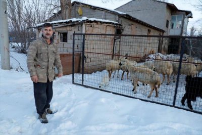 Depremzede besiciler devlet desteğiyle üretime devam ediyor