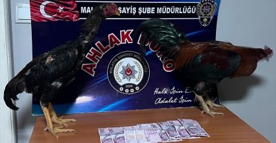 Malatya'da horoz dövüştüren 9 kişiye 57 bin 825 lira ceza
