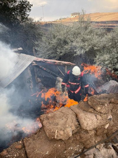 600 dönümlük anız arazisi yandı, bir inek telef oldu