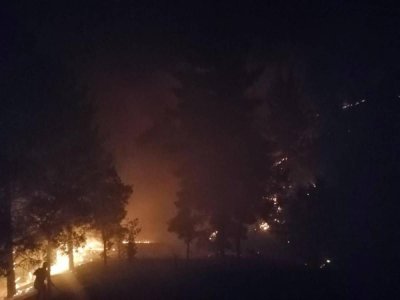 Malatya'da çıkan orman yangını söndürüldü