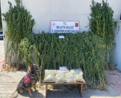 Uyuşturucu operasyonunda 1 zanlı yakalandı