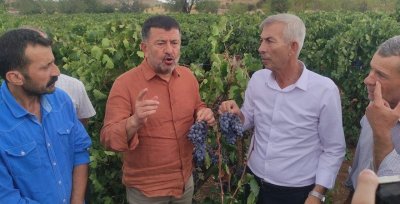 Ağbaba: “Tarım ve Orman Bakanı maalesef tarımdan bihaber yaşıyor”