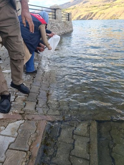 Karakaya Baraj Gölü'ne 750 bin balık yavrusu bırakıldı
